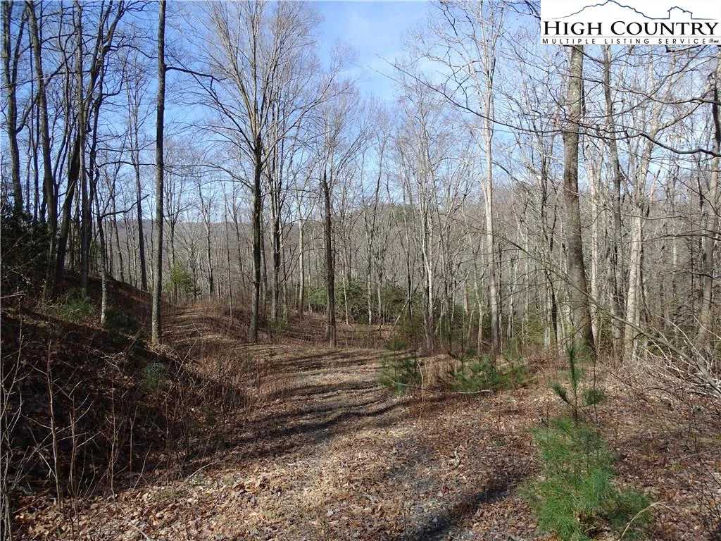 Image number 5 for the current listing
