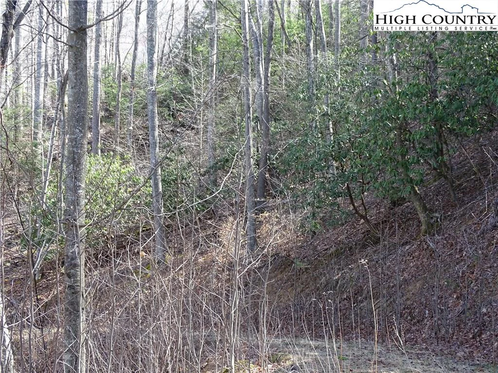 Image number 6 for the current listing