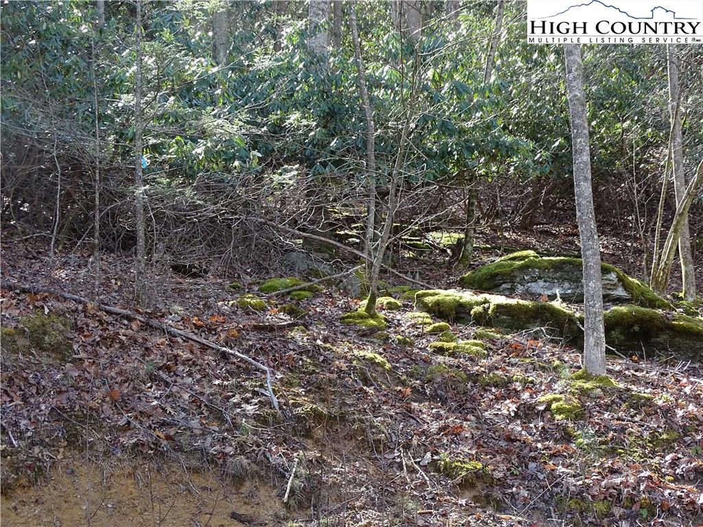 Image number 8 for the current listing