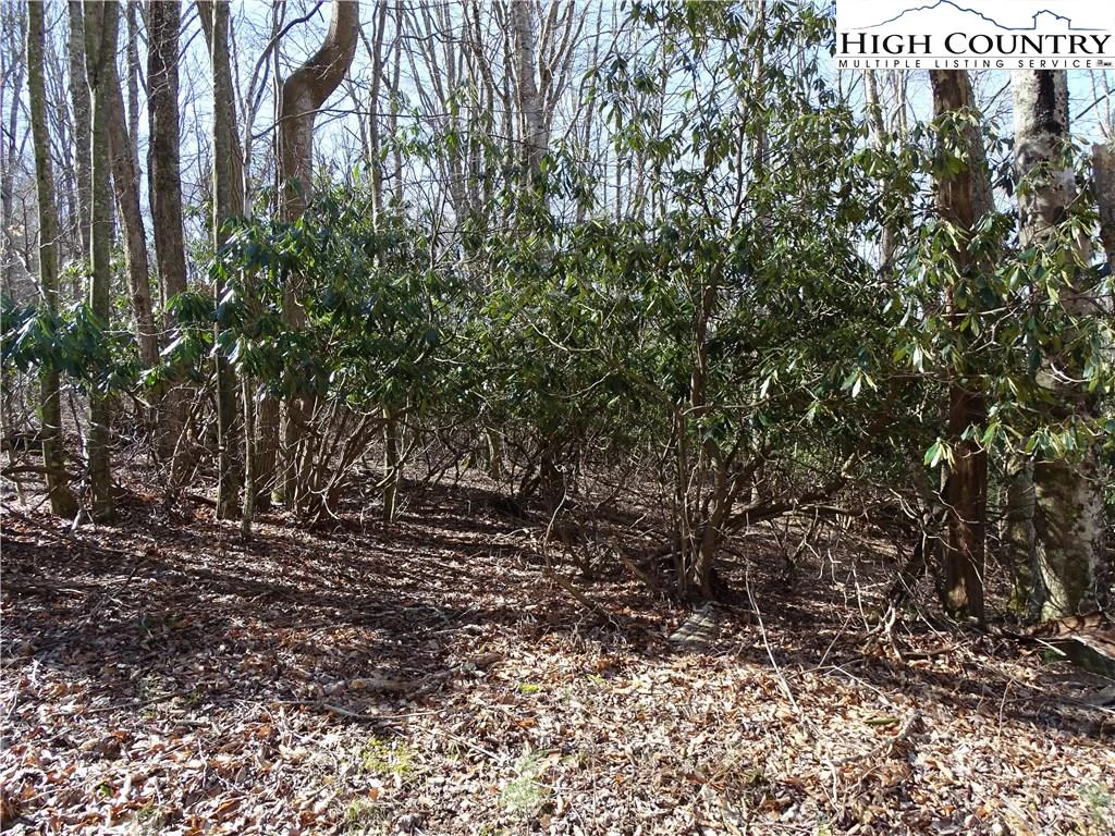Image number 9 for the current listing