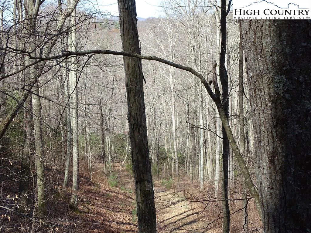 Image number 10 for the current listing