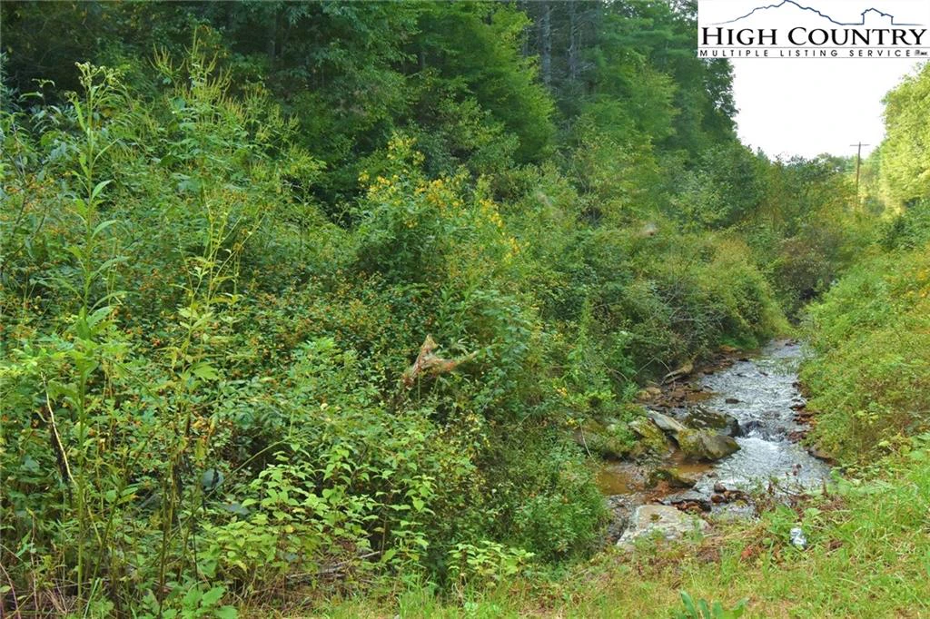 Image number 1 for the current listing