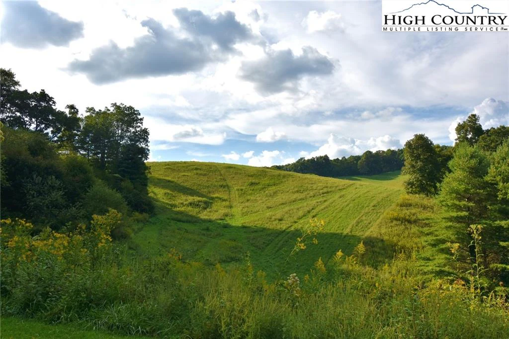 Image number 3 for the current listing