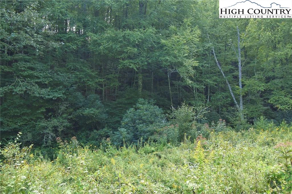 Image number 4 for the current listing
