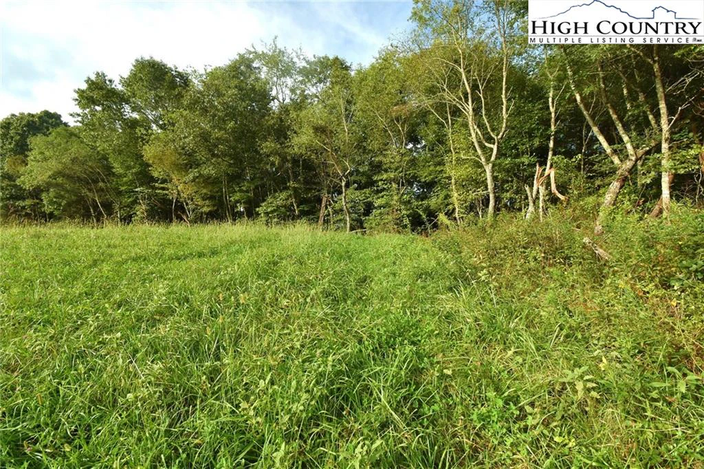 Image number 6 for the current listing