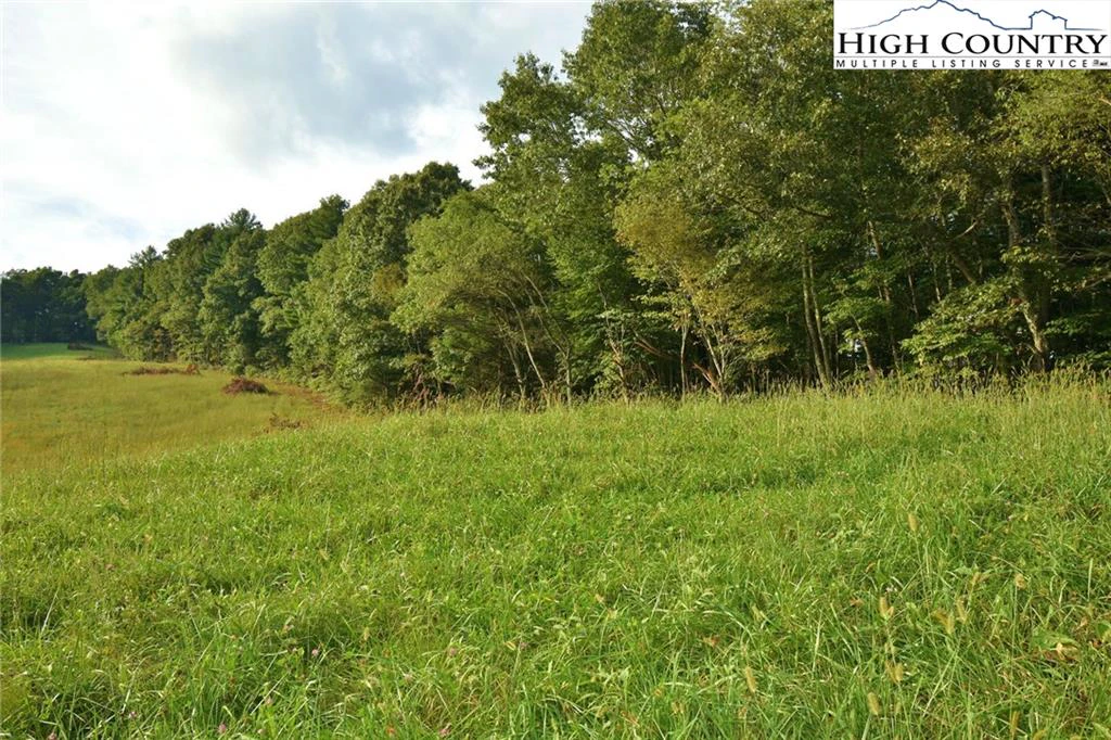 Image number 7 for the current listing