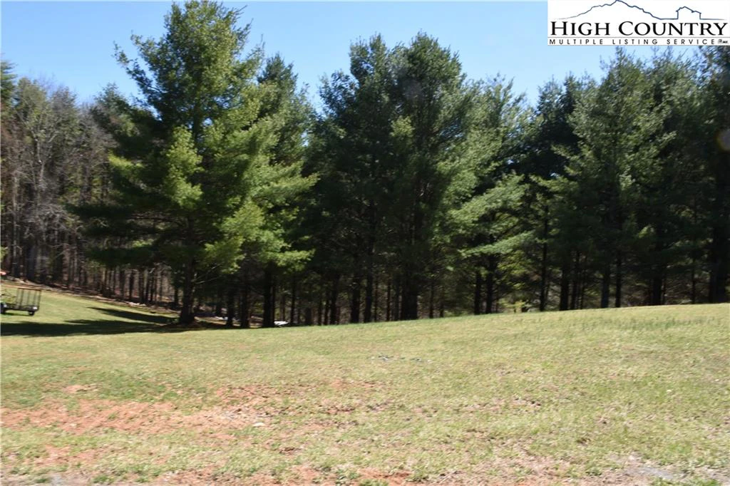 Image number 1 for the current listing