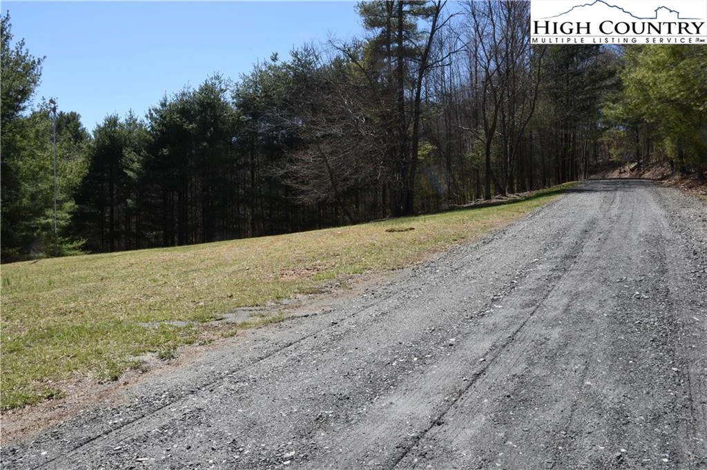 Image number 3 for the current listing