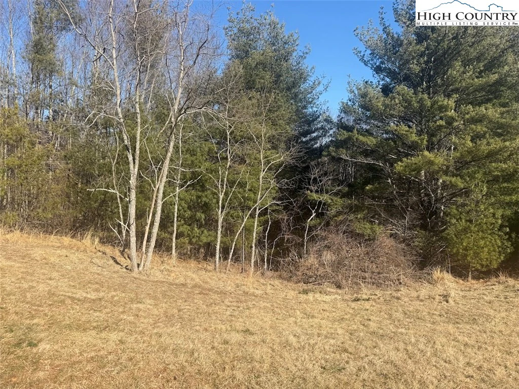 Image number 19 for the current listing