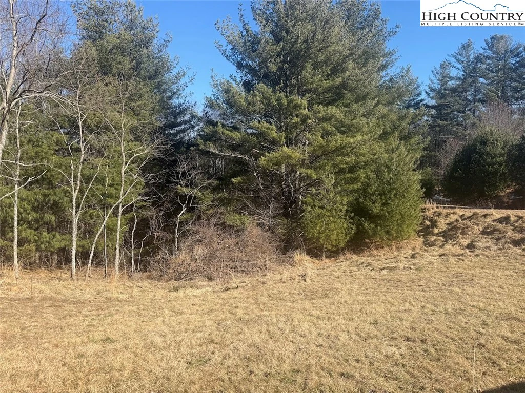 Image number 2 for the current listing