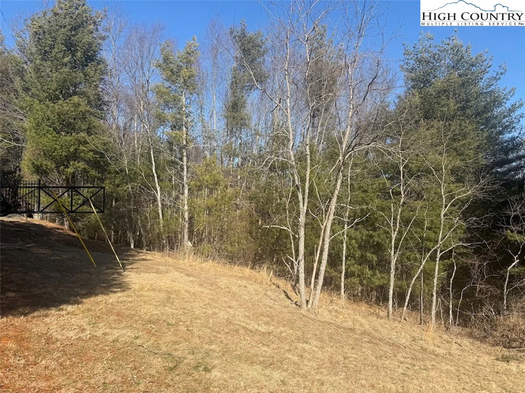 Image number 10 for the current listing