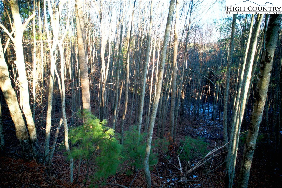 Image number 4 for the current listing