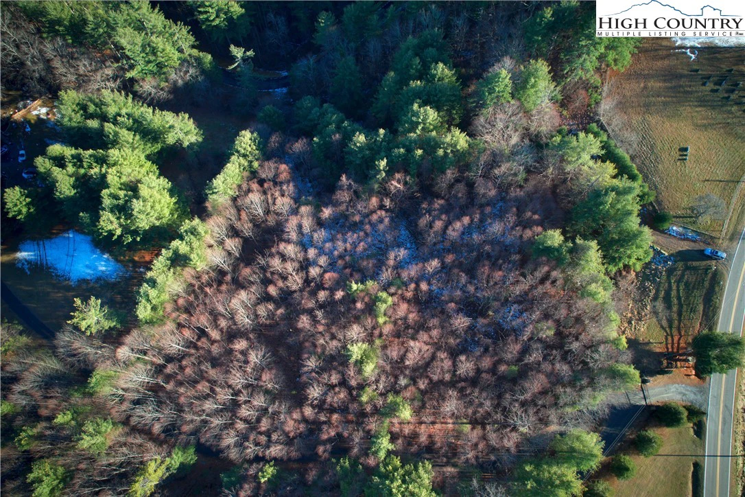 Image number 7 for the current listing