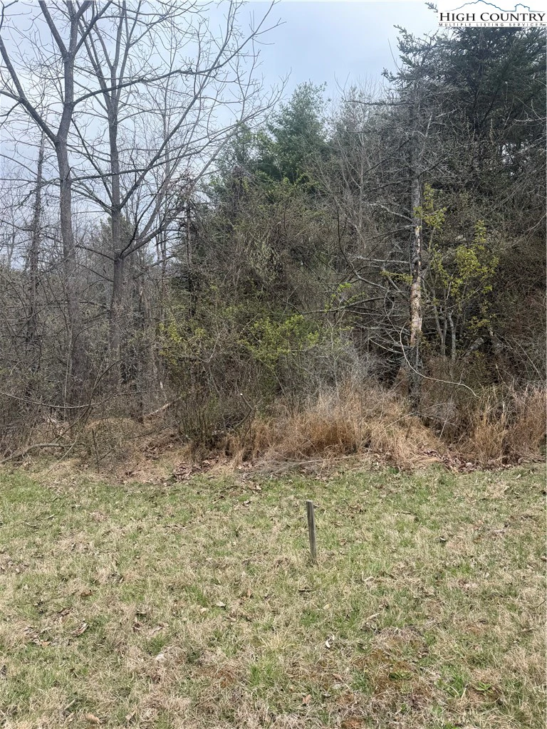 Image number 3 for the current listing