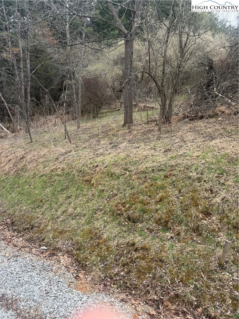 Image number 4 for the current listing