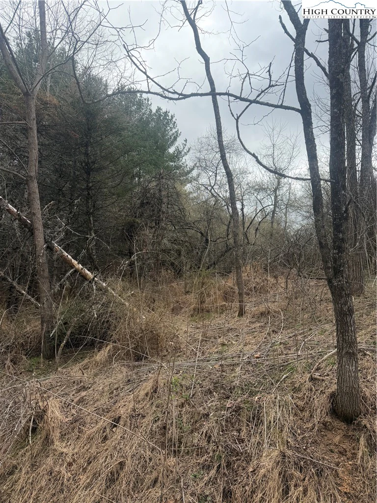 Image number 5 for the current listing
