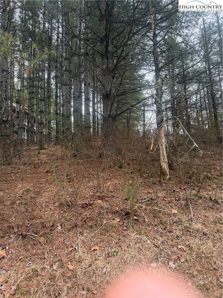 Image number 6 for the current listing
