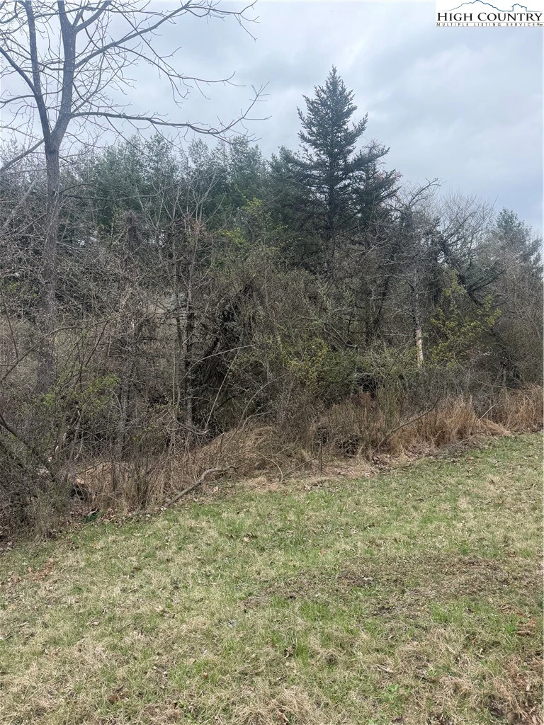 Image number 9 for the current listing