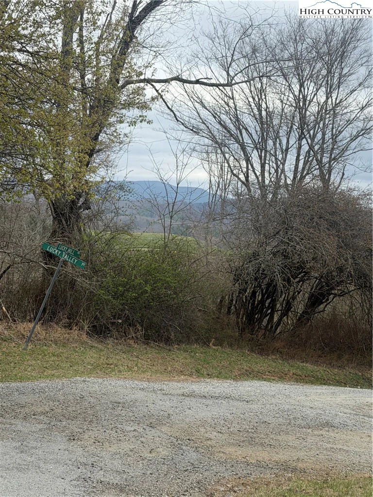 Image number 11 for the current listing