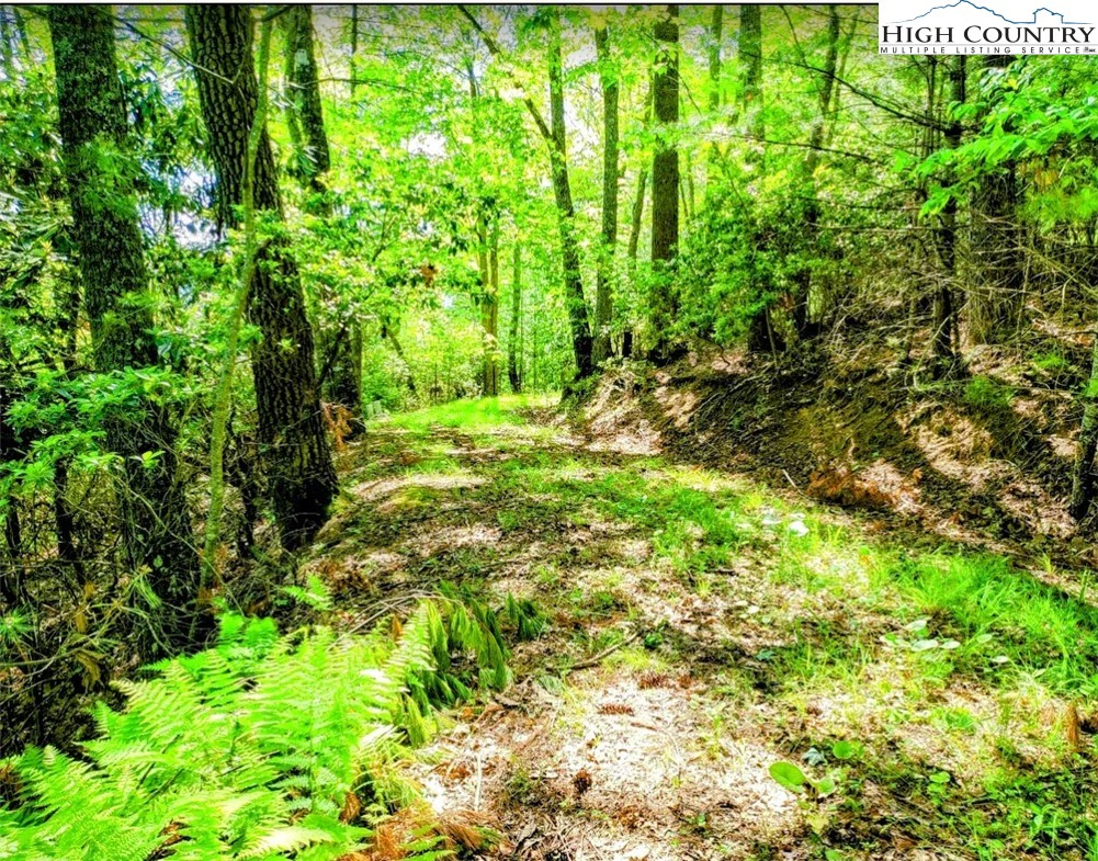 Image number 21 for the current listing