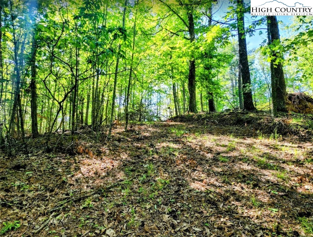 Image number 1 for the current listing