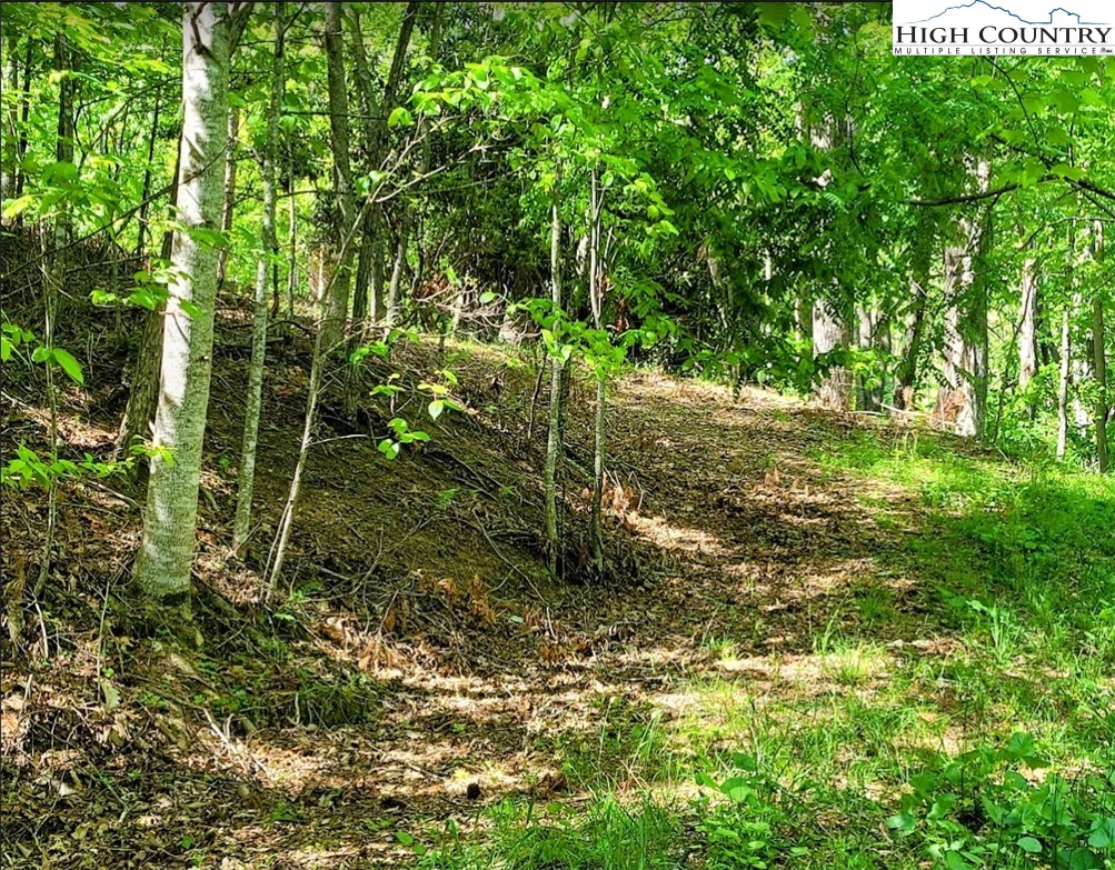 Image number 18 for the current listing