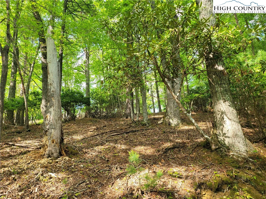 Image number 11 for the current listing