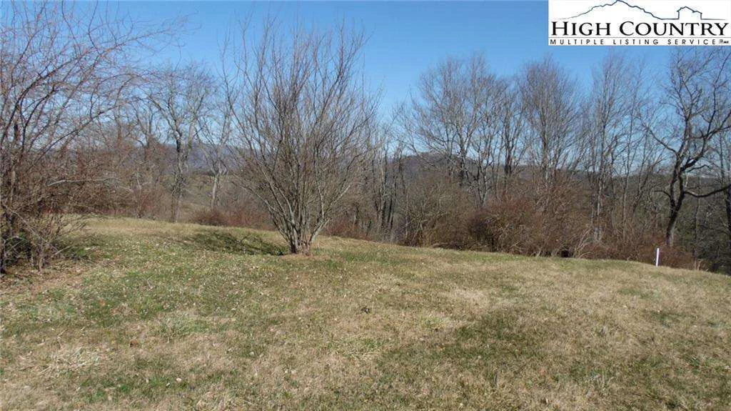 Image number 1 for the current listing