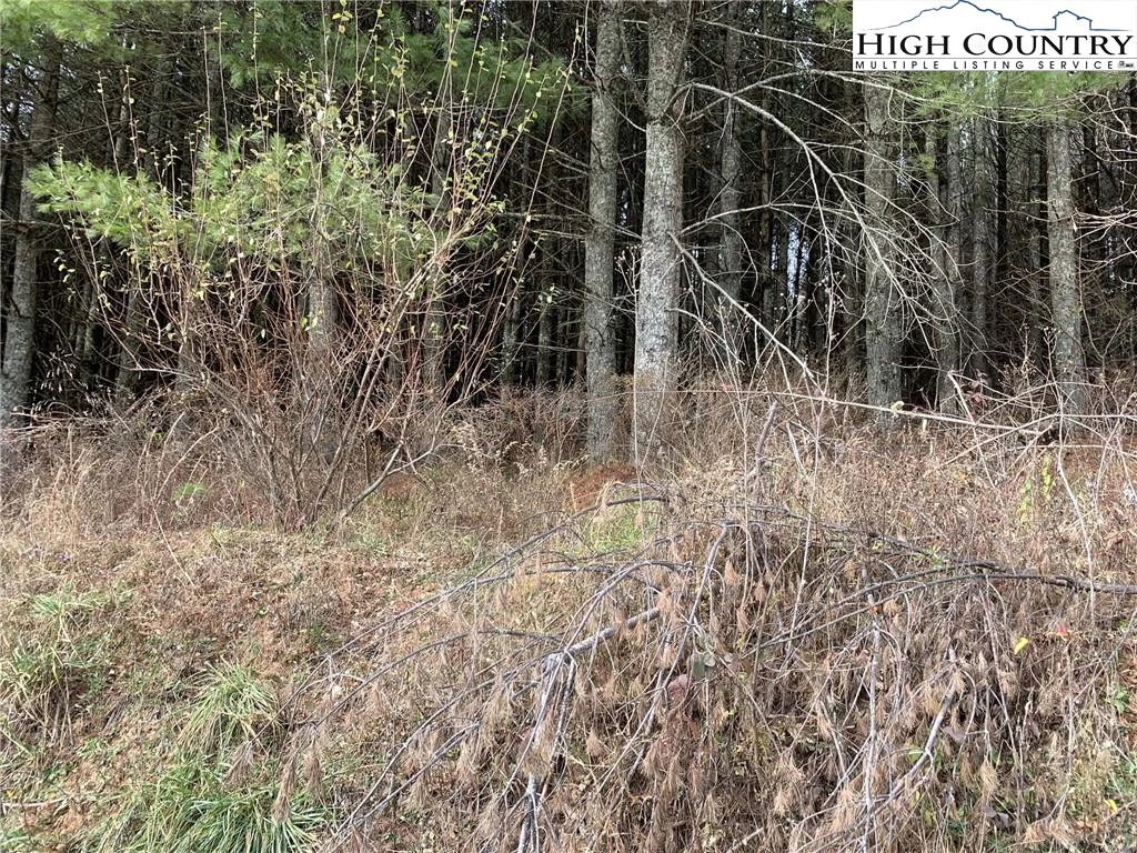 Image number 3 for the current listing