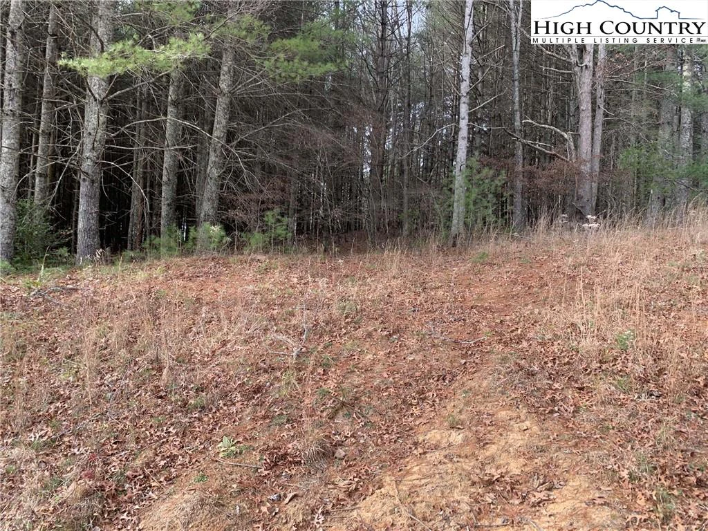 Image number 4 for the current listing