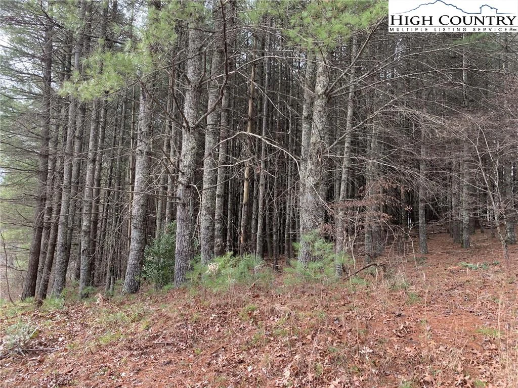 Image number 5 for the current listing