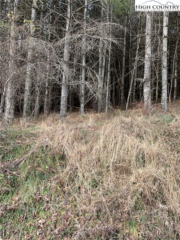 Image number 6 for the current listing