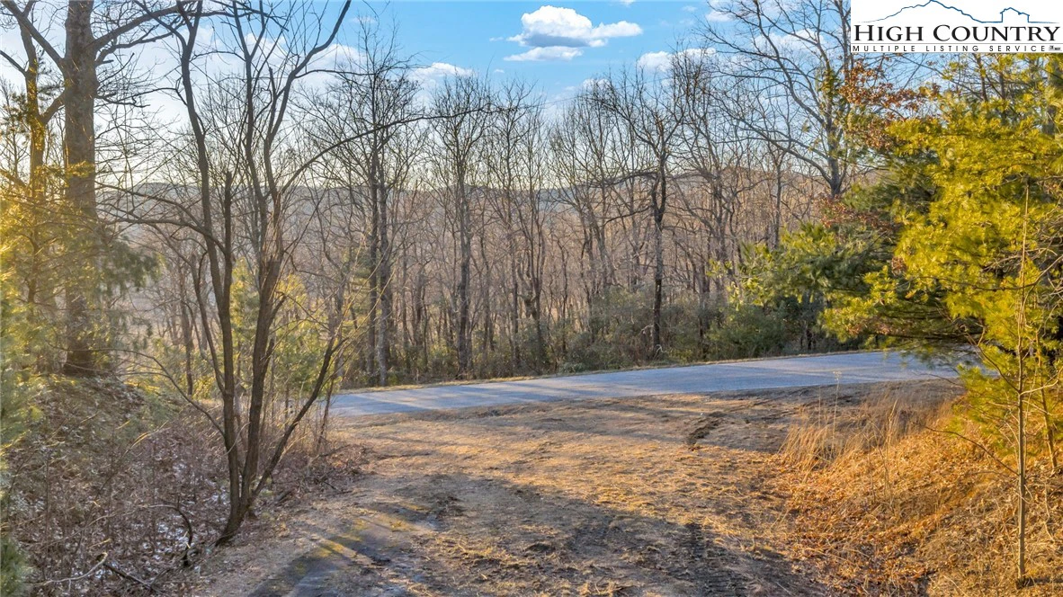 Image number 22 for the current listing