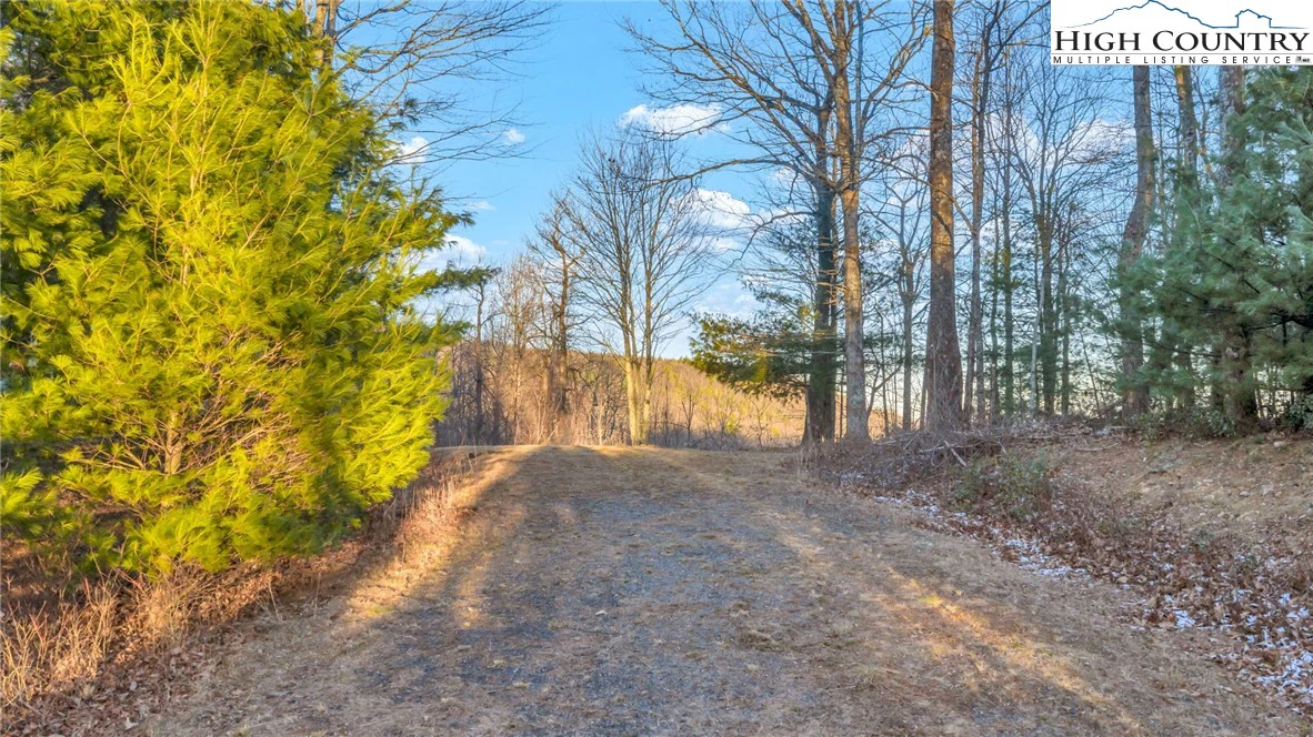 Image number 20 for the current listing