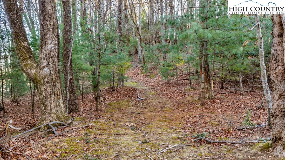 Image number 17 for the current listing