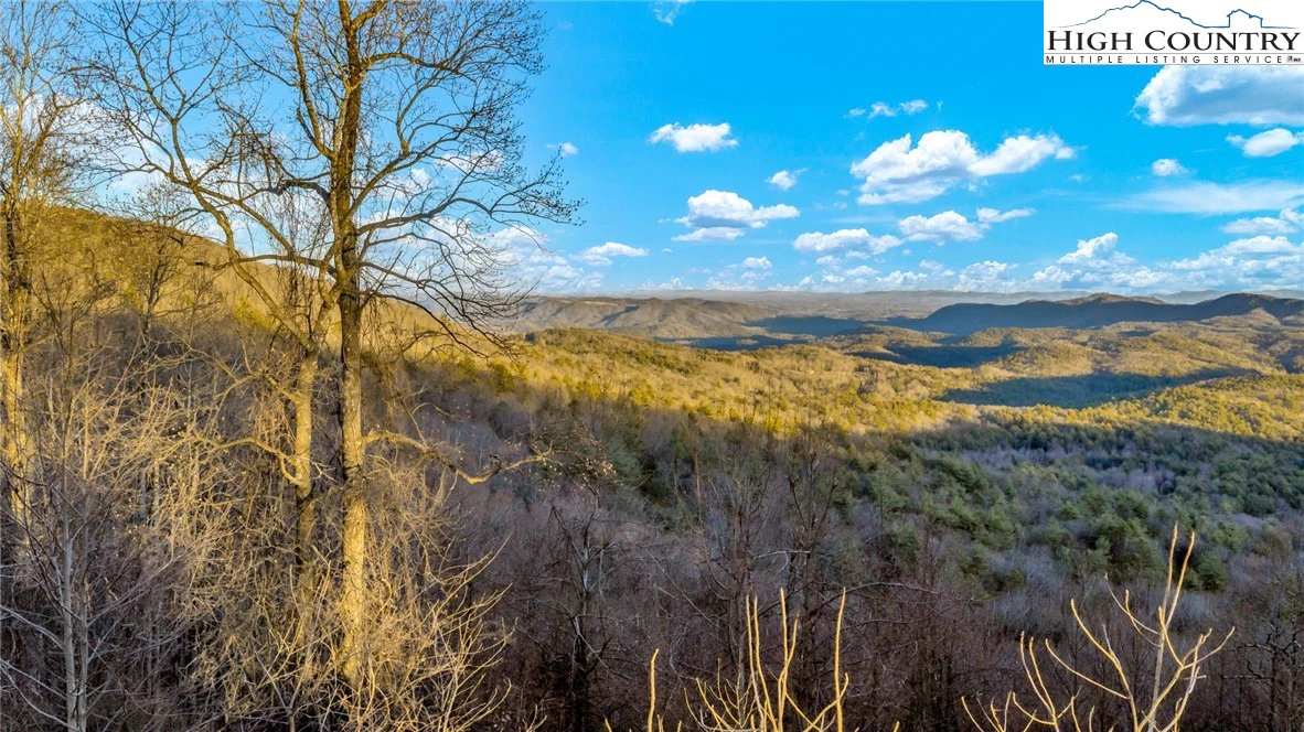 Image number 18 for the current listing