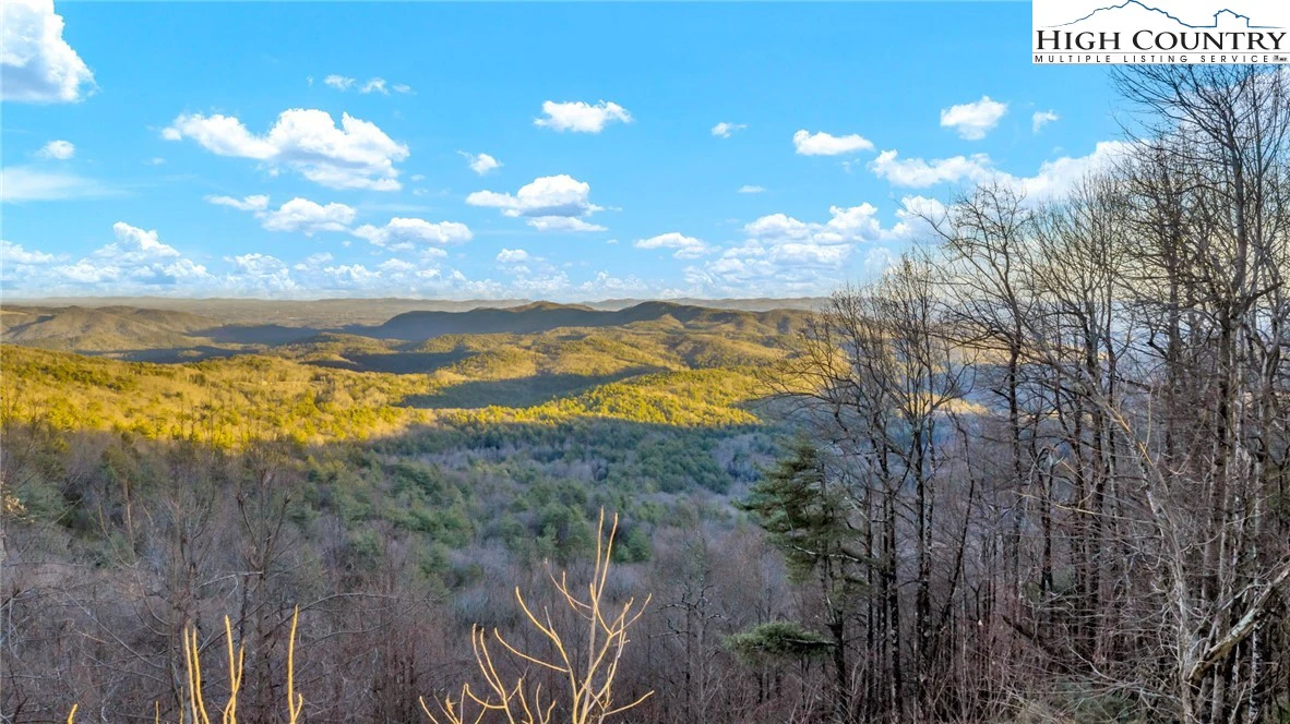 Image number 19 for the current listing