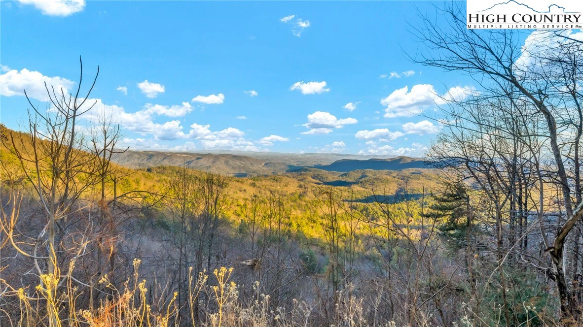 Image number 4 for the current listing