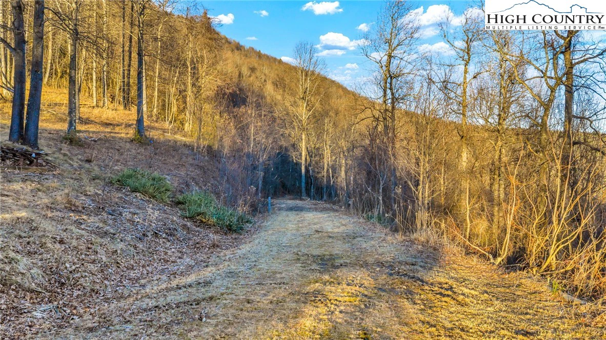 Image number 12 for the current listing