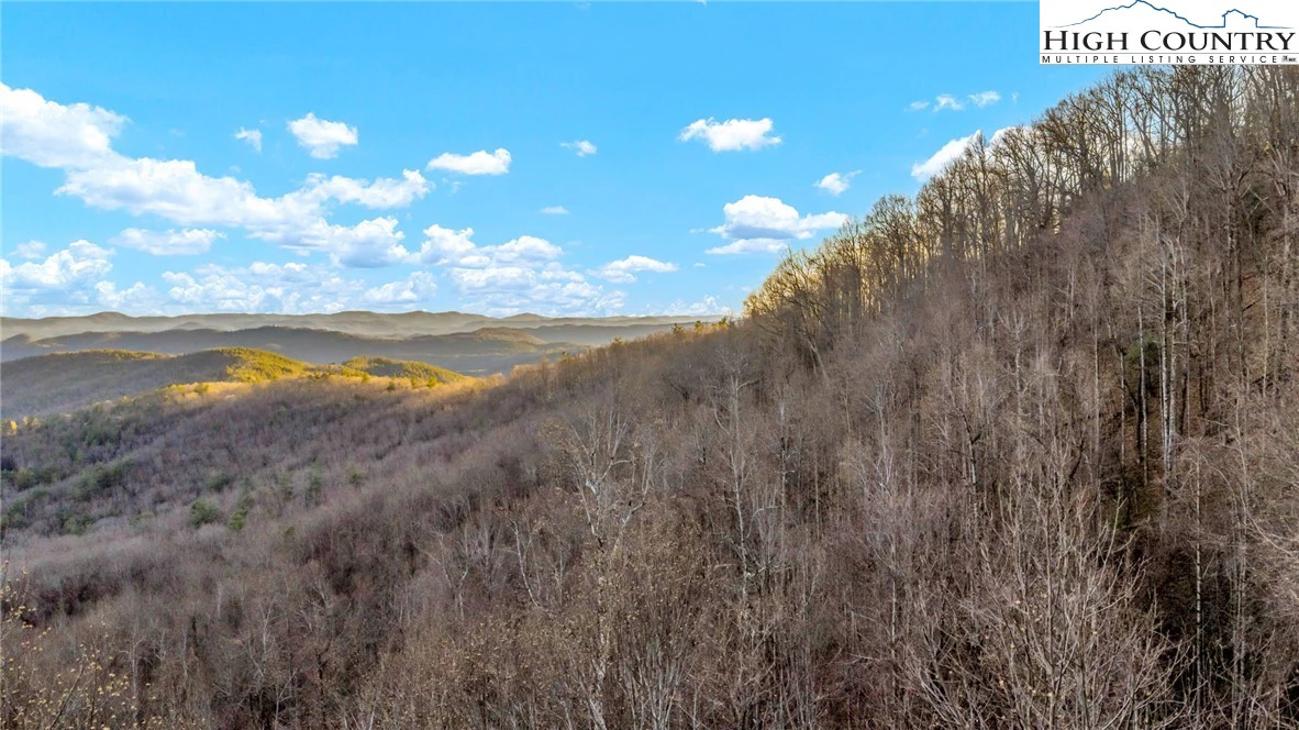 Image number 9 for the current listing