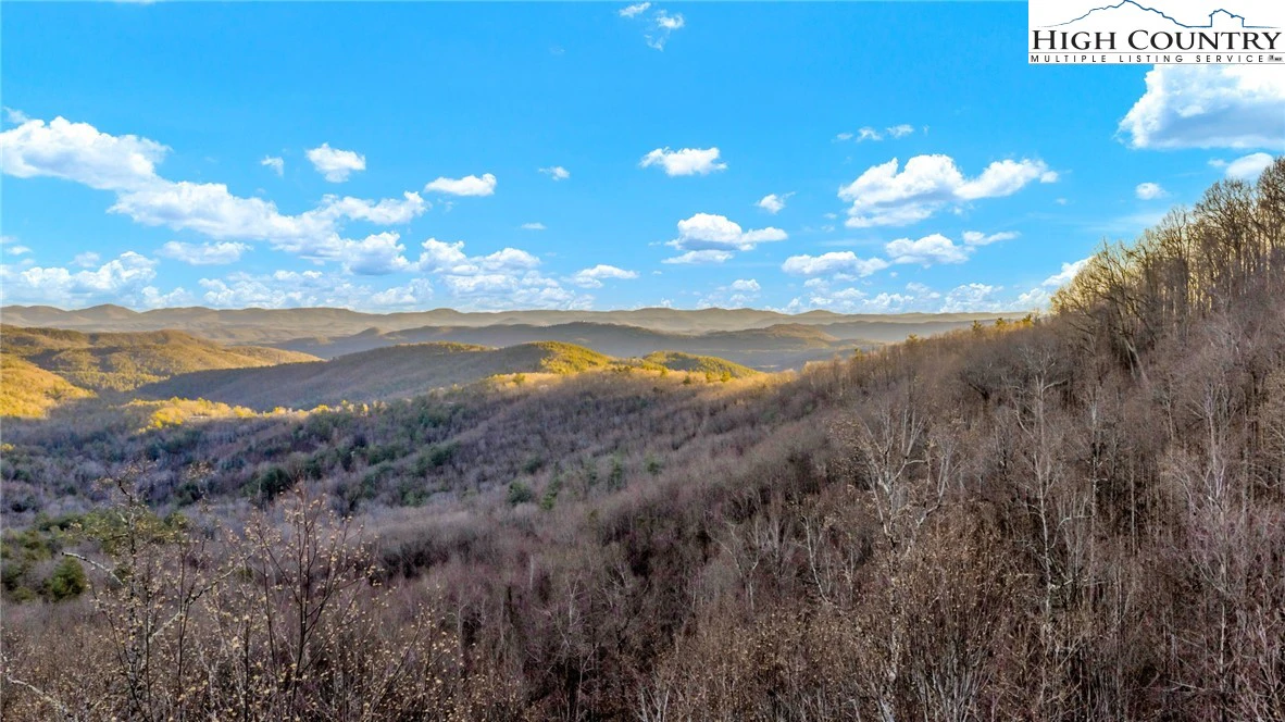 Image number 8 for the current listing