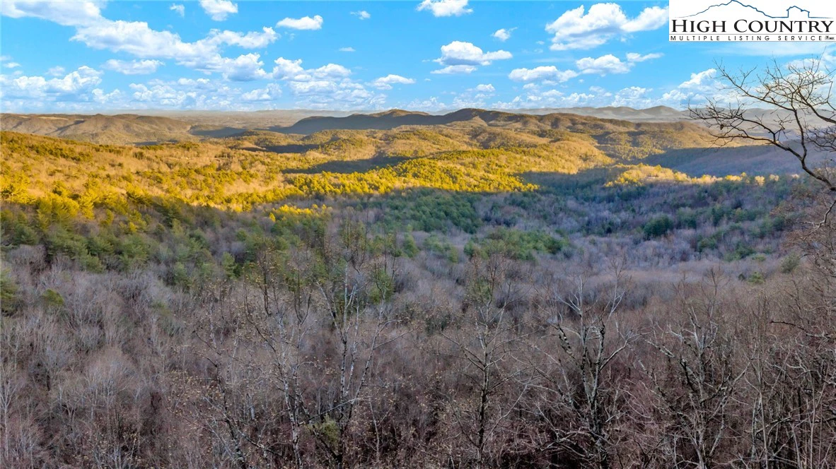 Image number 1 for the current listing