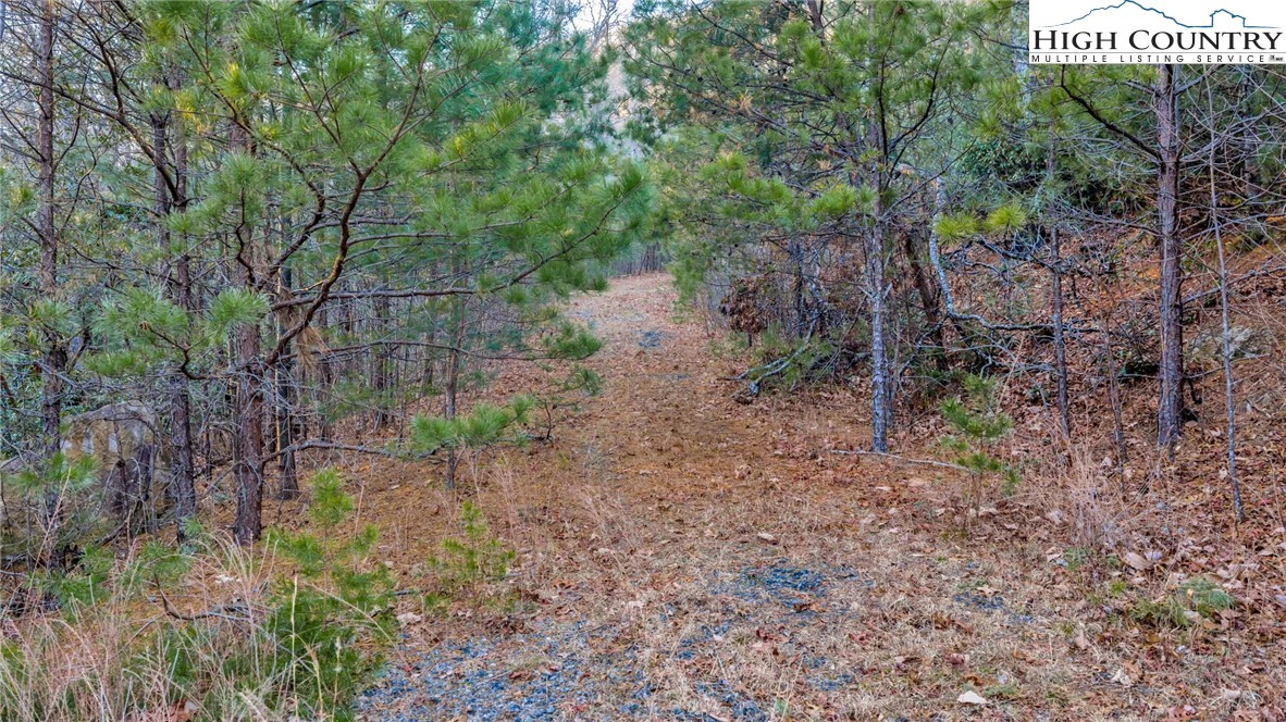 Image number 16 for the current listing