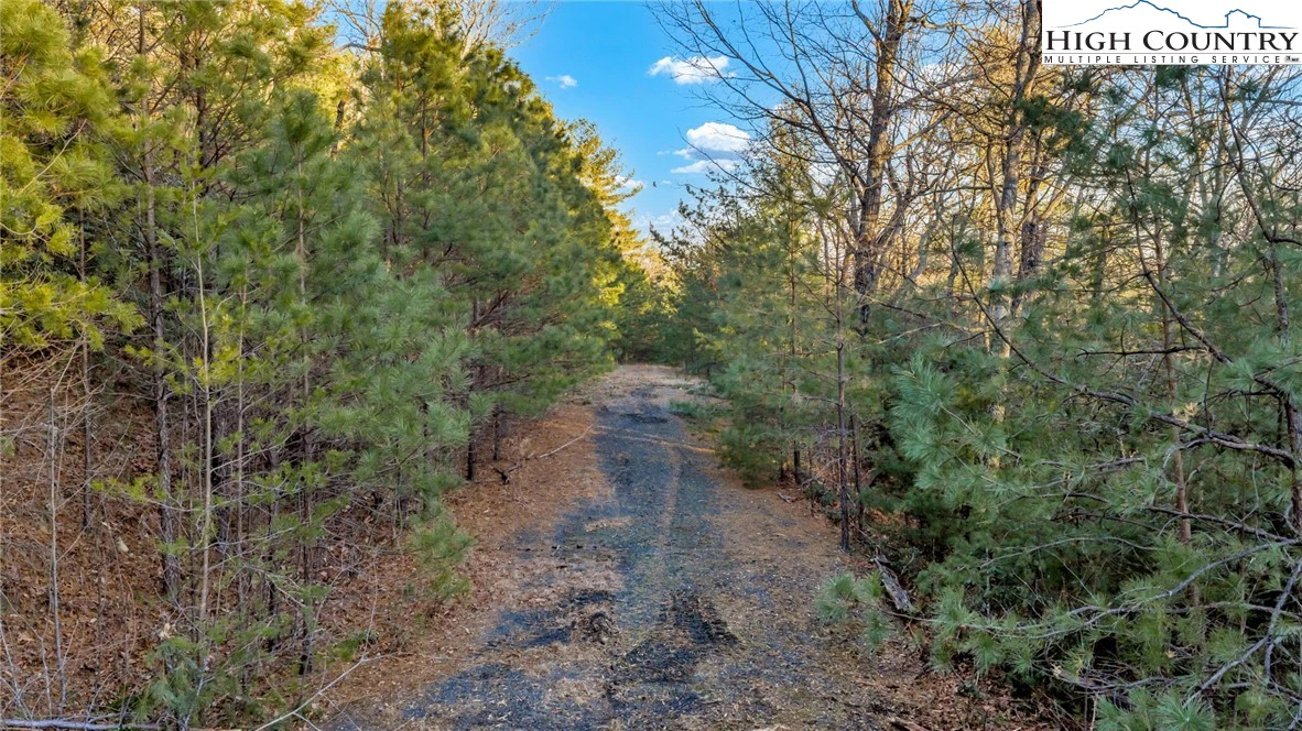 Image number 13 for the current listing