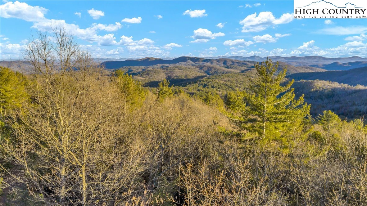 Image number 5 for the current listing