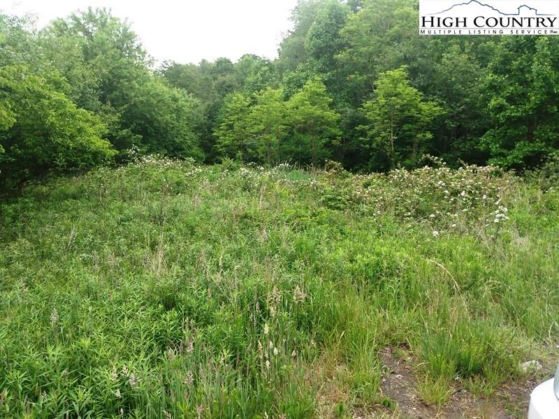 Image number 3 for the current listing