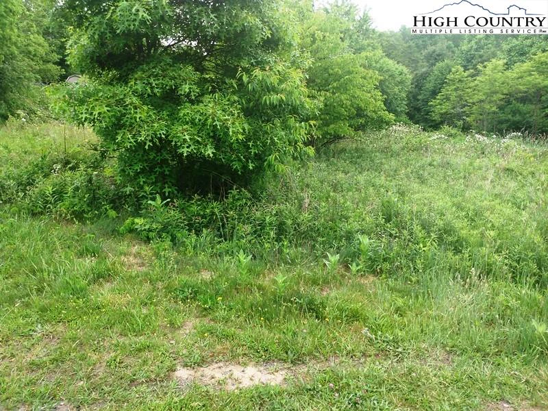 Image number 4 for the current listing