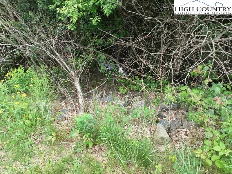 Image number 7 for the current listing