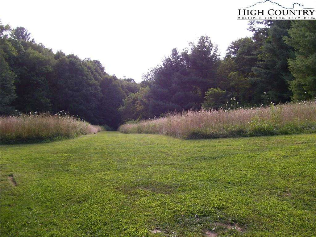 Image number 5 for the current listing