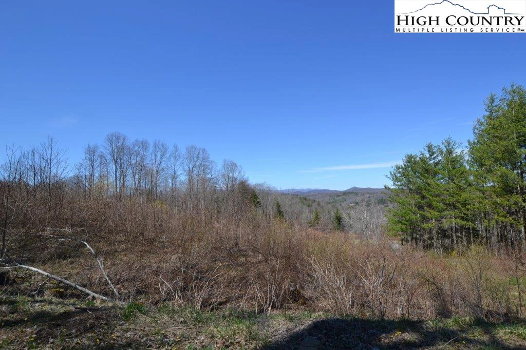 Image number 1 for the current listing